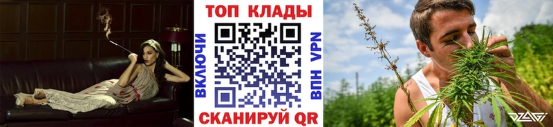 Где купить наркотики Адыгейск omg как зайти  Меф  Бошки Шишки  Cocaine  A PVP 