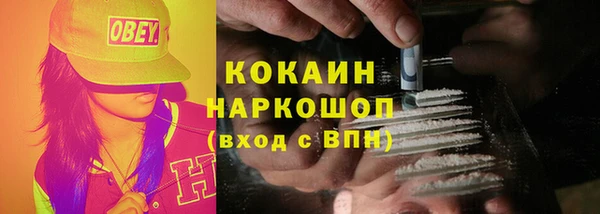 ПСИЛОЦИБИНОВЫЕ ГРИБЫ Абаза