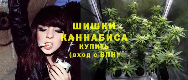 ГАЛЛЮЦИНОГЕННЫЕ ГРИБЫ Абдулино