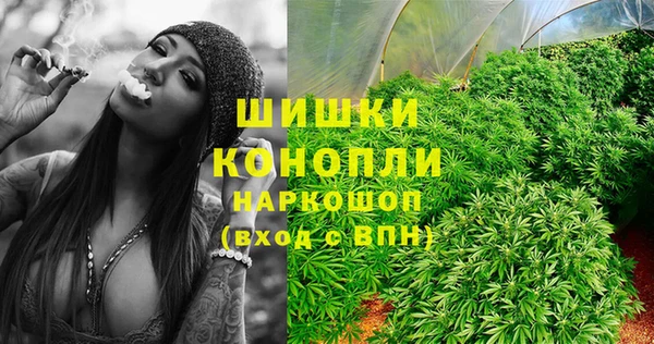 ПСИЛОЦИБИНОВЫЕ ГРИБЫ Абаза
