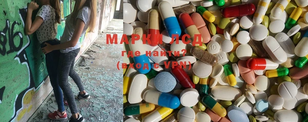 ПСИЛОЦИБИНОВЫЕ ГРИБЫ Абаза