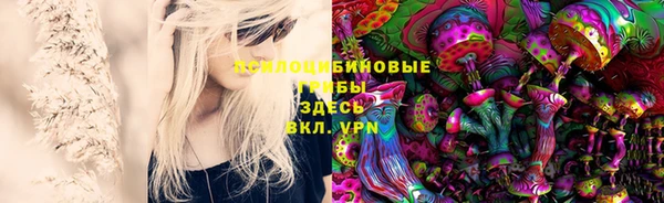 ГАЛЛЮЦИНОГЕННЫЕ ГРИБЫ Абдулино