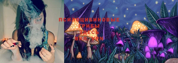 ПСИЛОЦИБИНОВЫЕ ГРИБЫ Абаза