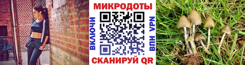 Псилоцибиновые грибы ЛСД  купить наркотик  Адыгейск 